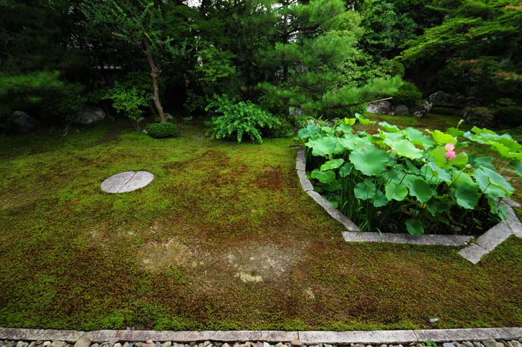 本法寺・巴の庭