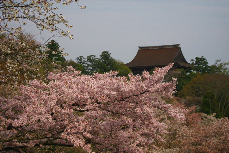 金峯山寺・吉水神社から見た蔵王堂