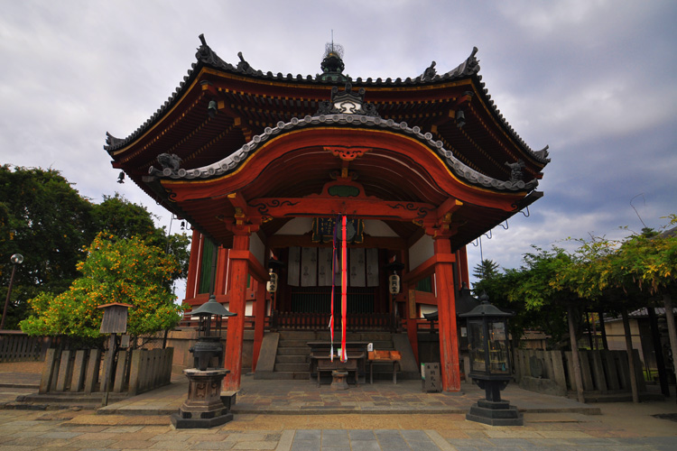興福寺・南円堂と橘