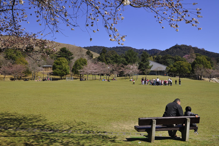 奈良公園から見る若草山と春日山