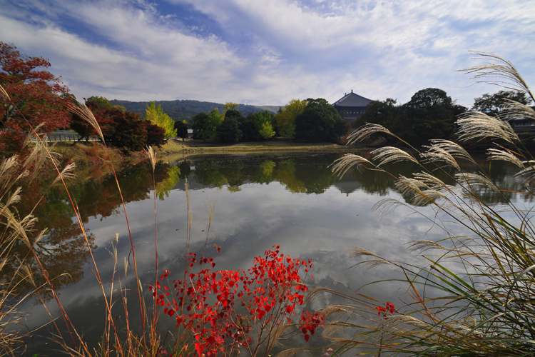 奈良・秋の風景