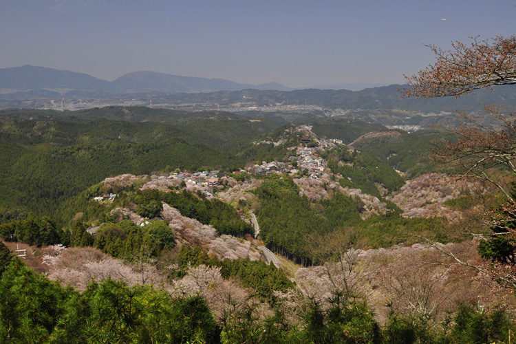 吉野山・花矢倉からの景色
