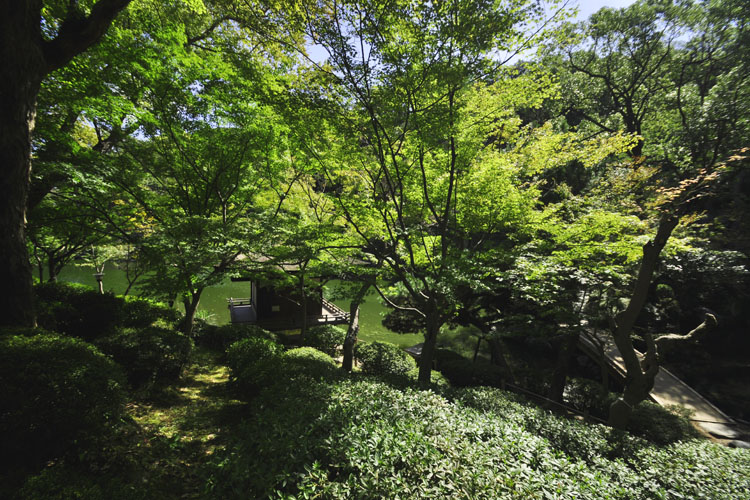 和歌山城・西の丸庭園・紅葉渓庭園